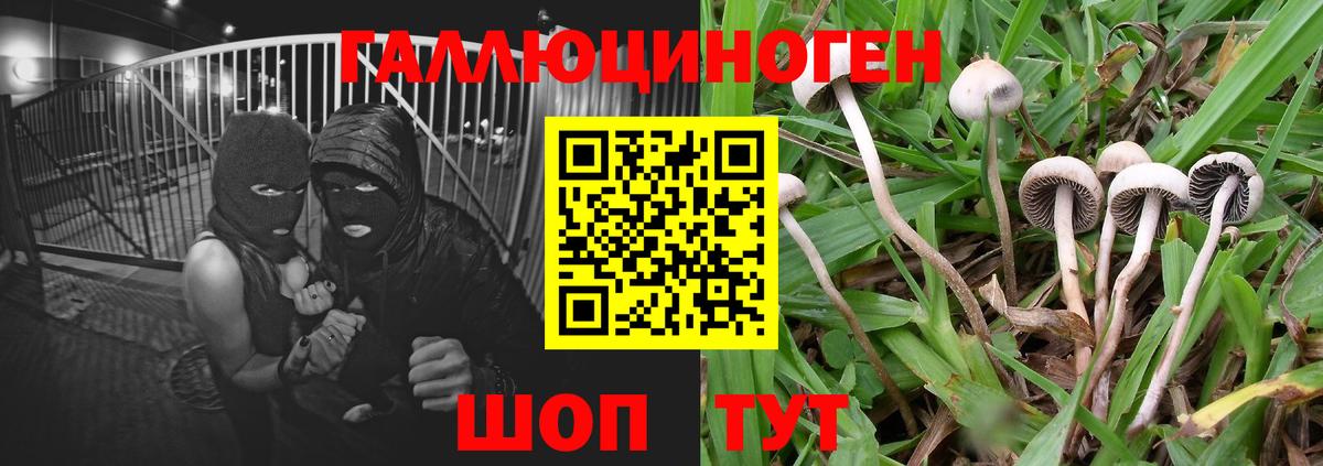 Галлюциногенные грибы GOLDEN TEACHER Рассказово