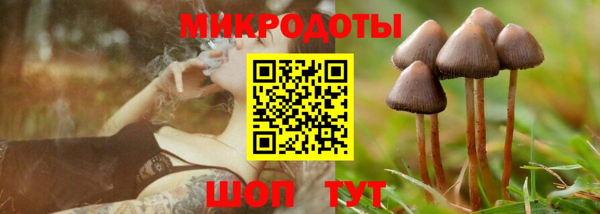 Галлюциногенные грибы Psilocybe  Вход с VPN  дарнет шоп  Рассказово 